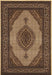 PERSIAN Area Rug - 3'9'' x 5'9'' - PC0546 image