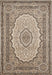 TABRIZ Area Rug - 3'9'' x 5'9'' - TA0346 image